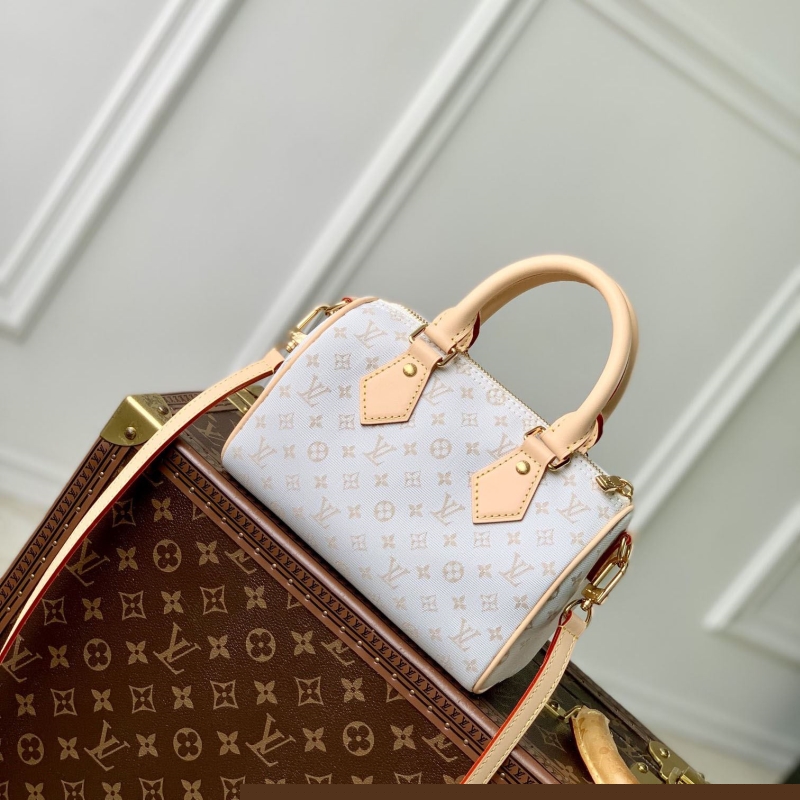 LV Speedy Bags